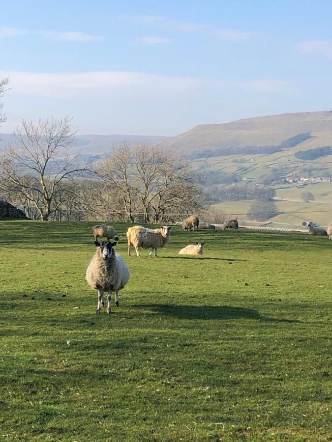 Quarry Cottage Near Hawes, Yorkshire Dales, Pet Free Luaran gambar